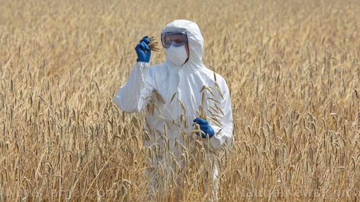 Jennifer Kahn’s ‘love GMOs’ NYT article is propaganda, not journalism