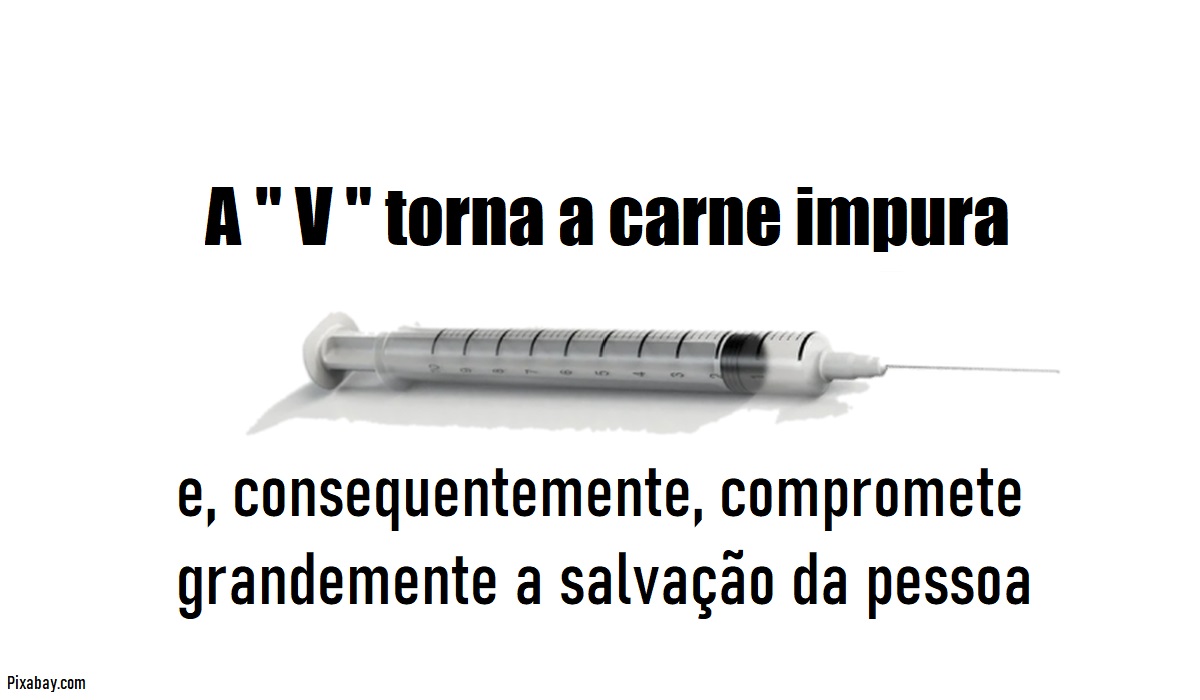 ESTUDO - Antônio do Brasil