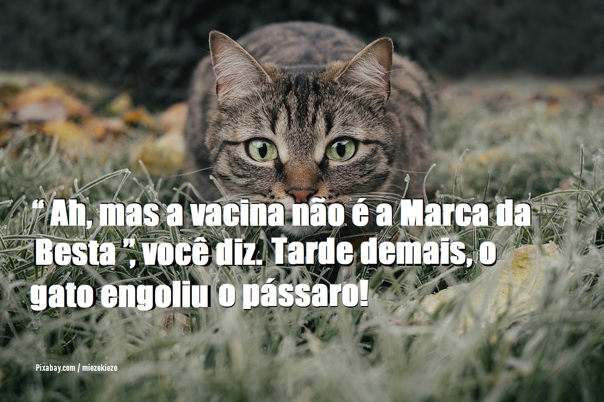 A Grande Separação - Pollox