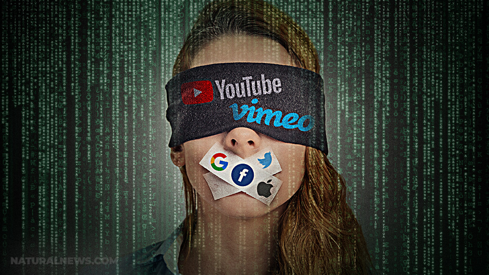 Decision on Big Tech’s Section 230 immunity to be reviewed by appeals court