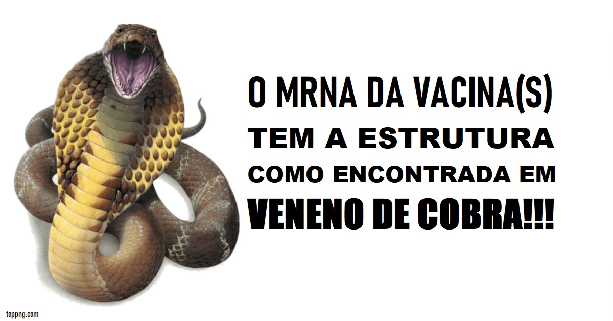 Tipo sanguíneo de Jesus, veneno da serpente e sonhos relacionados - Michelle Katherine Orts