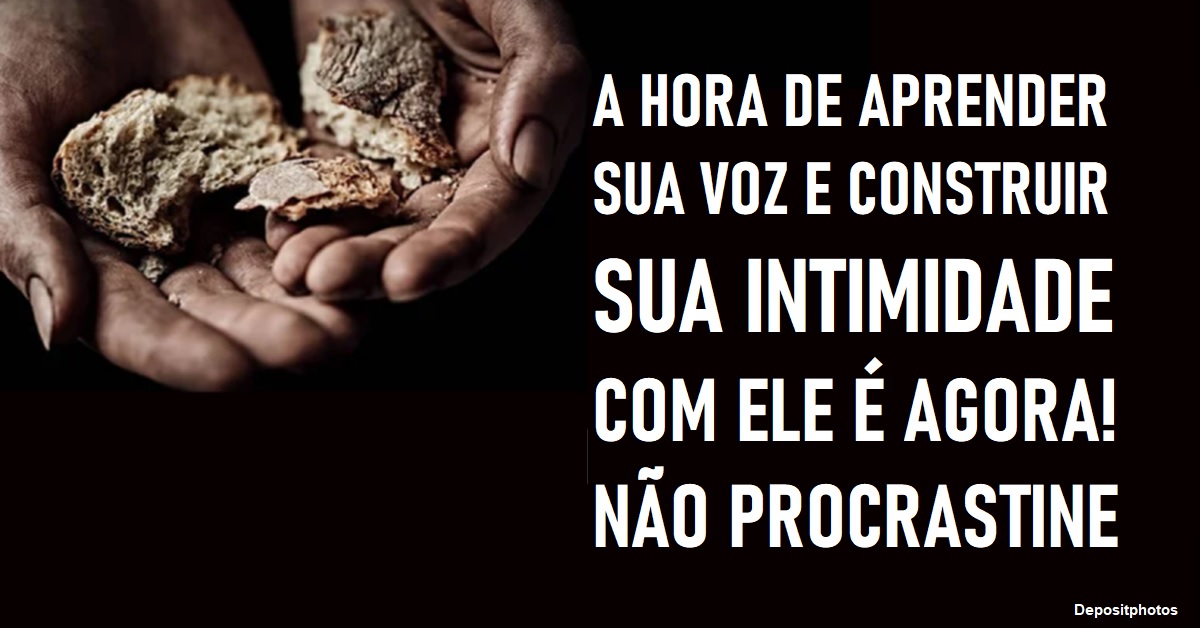 FOME NA TERRA - Meu esconderijo