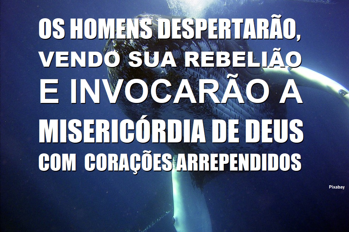 No Vente da Besta - Terry Crockett