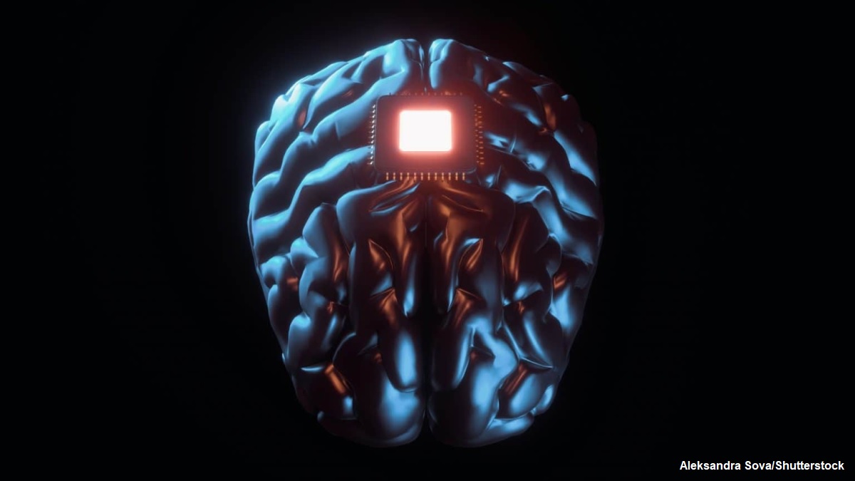 Neuralink: empresa de Musk busca voluntários para testar chip cerebral