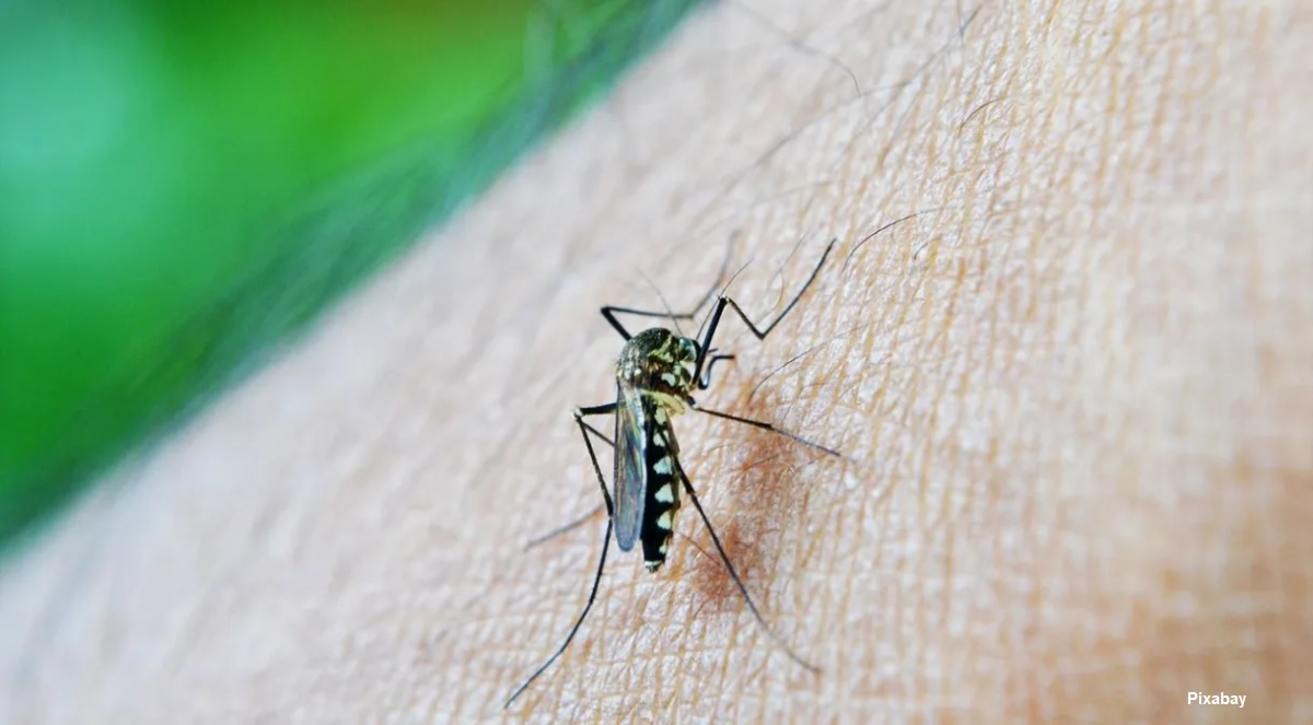 Com mais de 11 mil casos de dengue, governo de MG decreta situação de emergência